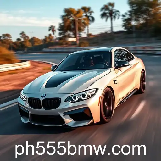 555 BMW Craze Grips Gaming World